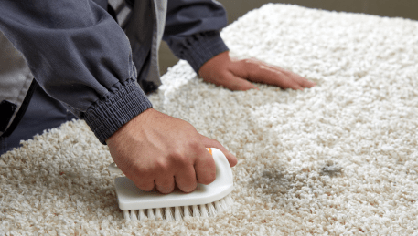 Professional Rug Cleaning Moreland
